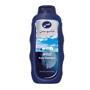 Production and Supply of Body Shampoo (400 gr)